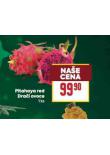 PITAHAYA RED DRAČÍ OVOCE