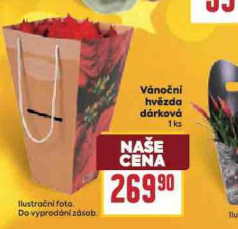 VÁNOČNÍ HVĚZDA DÁRKOVÁ