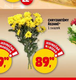 CHRYZANTÉMY ŘEZANÉ
