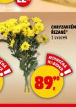 CHRYZANTÉMY ŘEZANÉ