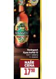 PIVO RADEGAST RYZE HOŘKÁ 12