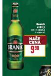 BRANÍK SVĚTLÝ