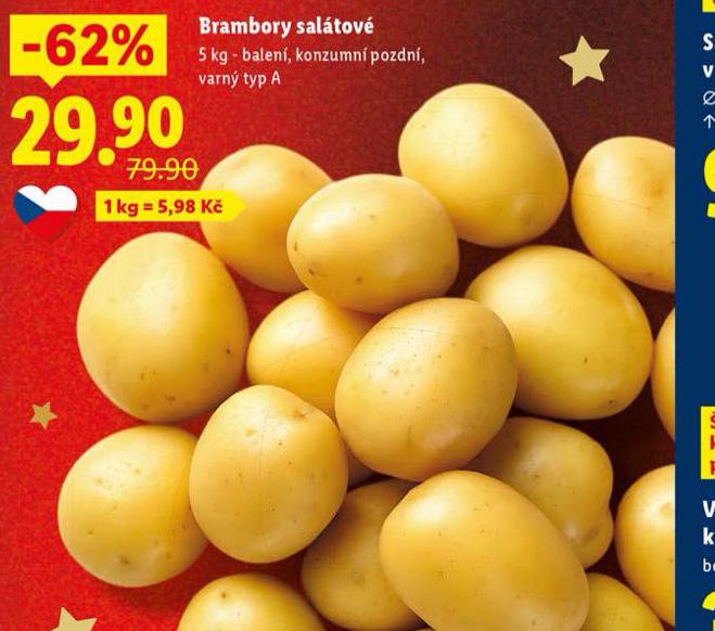 BRAMBORY SAL�TOV�