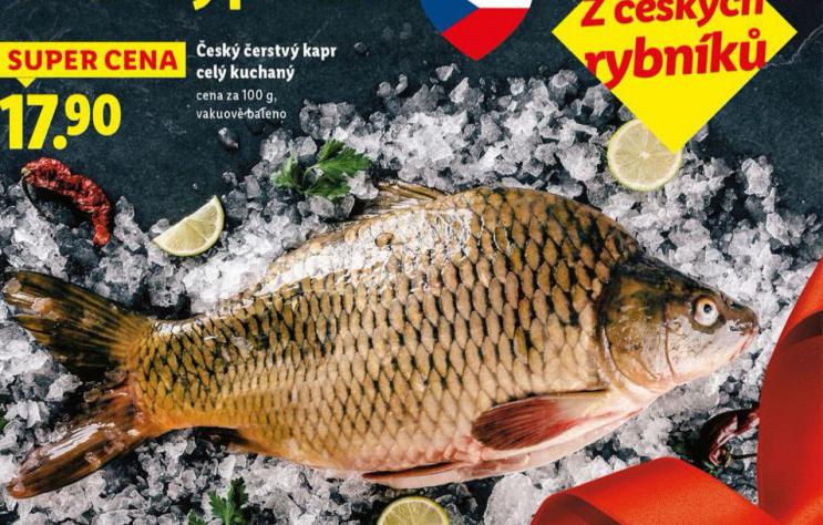 �ERSTV� KAPR CEL� KUCHAN�