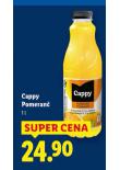 CAPPY POMERAN�