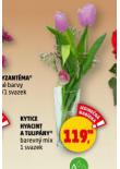 KYTICE HYACINT A TULIP�NY