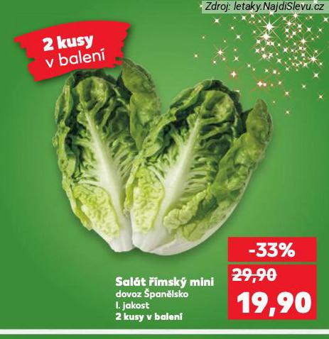 SAL�T ��MSK� MINI