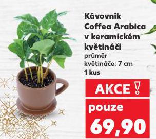 K�VOVN�K COFFEA ARABICA