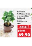 K�VOVN�K COFFEA ARABICA