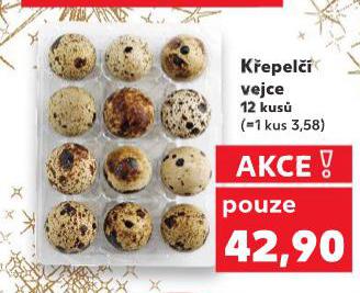 K�EPEL�� VEJCE