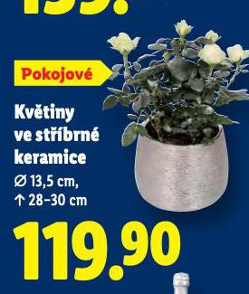 KV�TINY VE ST��BRN� KERAMICE