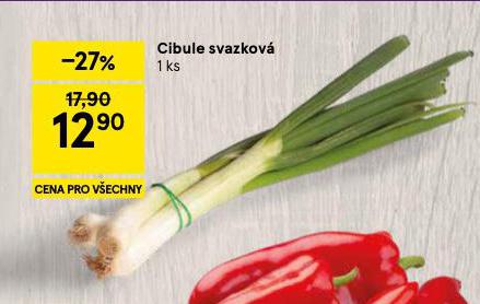 CIBULE SVAZKOV�