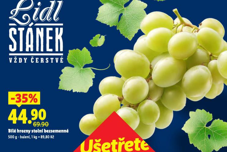 B�L� HROZNY STOLN� BEZSEMENN�