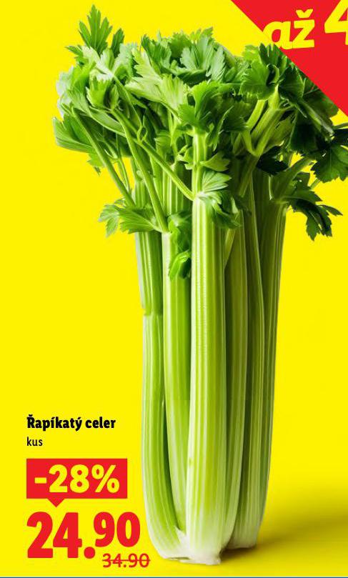 �AP�KAT� CELER