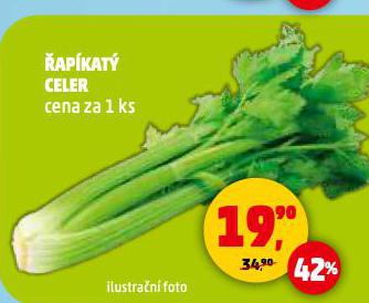 ŘAPÍKATÝ CELER