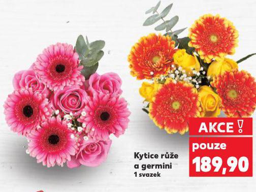 KYTICE RَE A GEMINI