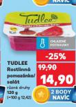 TUDLEE SAL�T