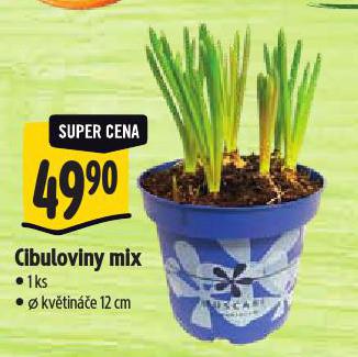 CIBULOVINY MIX