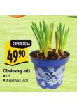 CIBULOVINY MIX