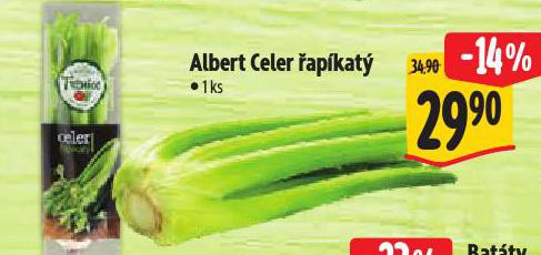 CELER �AP�KAT�