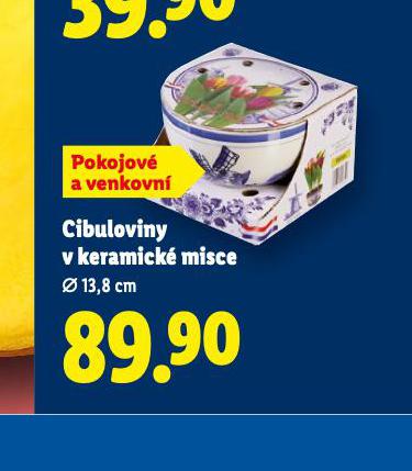 CIBULOVINY V KERAMICK� MISCE