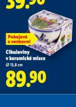 CIBULOVINY V KERAMICK� MISCE