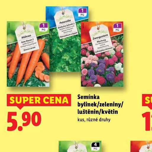 SEM�NKA BYLINEK / ZELENINY / LU�T�NIN / KV�TIN