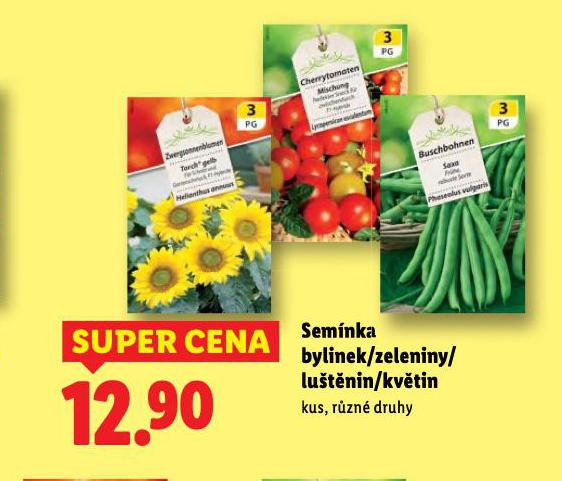 SEM�NKA BYLINEK / ZELENINY / LU�T�NIN / KV�TIN