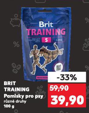 BRIT TRAINING PAMLSKY PRO PSY