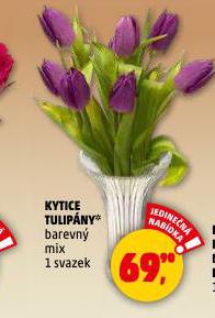 KYTICE TULIP�NY