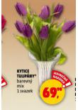 KYTICE TULIP�NY