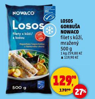 LOSOS GORBU�A NOWACO