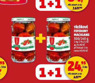 T�E��OV� FEFERONY MACHLAND