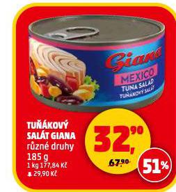 GIANA TU��KOV� SAL�T