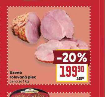 UZEN� ROLOVAN� PLEC