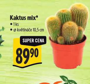 KAKTUS MIX