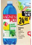 MAGNESIA PLUS