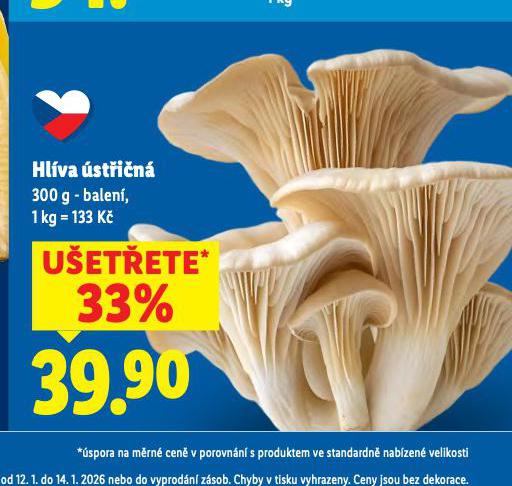 HL�VA �ST�I�N�