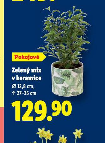 ZELEN� MIX V KERAMICE