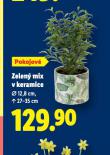ZELEN� MIX V KERAMICE