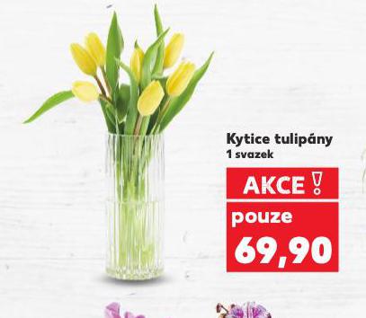 KYTICE TULIP�NY