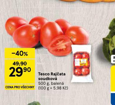 RAJ�ATA SOUDKOV�