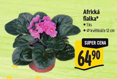 AFRICK� FIALKA