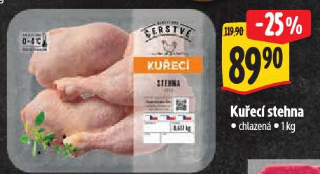 KU�EC� STEHNA