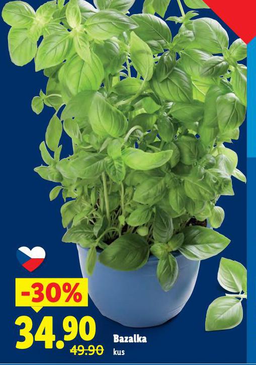 BAZALKA