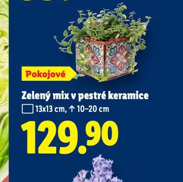 ZELEN� MIX V PESTR� KERAMICE