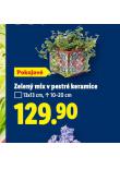 ZELEN� MIX V PESTR� KERAMICE