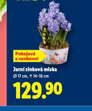 JARN� ZINKOV� MISKA