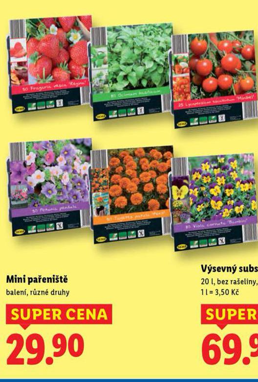 MINI PA�ENI�T�