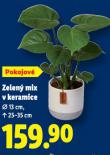 ZELEN� MIX V KERAMICE